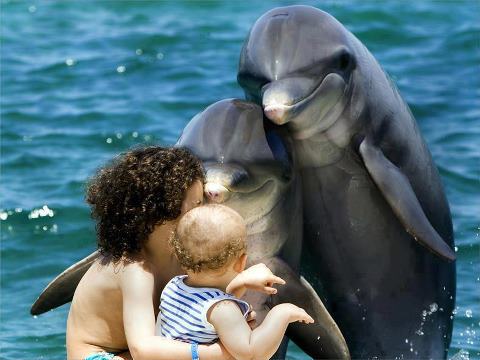 delfinia mama humans