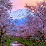 0Beautiful-Sunset-at-Mount-Fuji-on-Honshu-Island-Japan